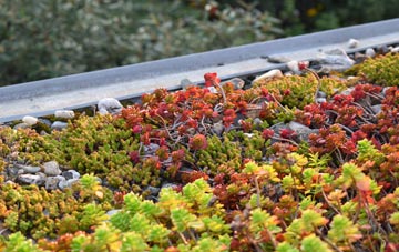 the cost of Witheridge green roof installation